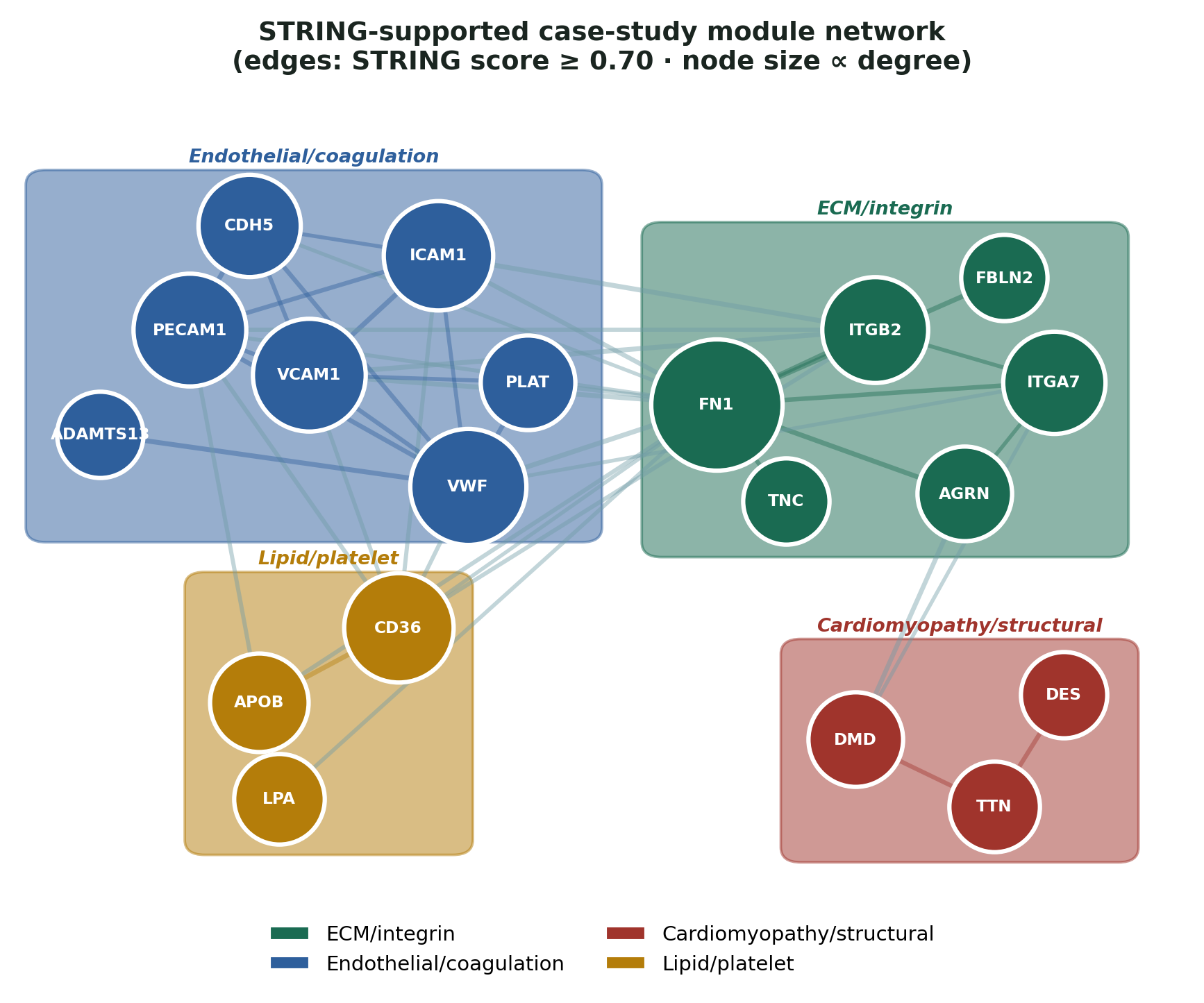 Network